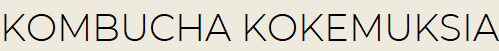 Kombucha kokemuksia